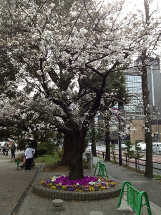 Photo 20-03-2013 13 32 57