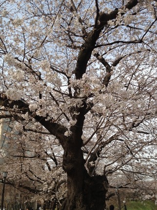 Photo 20-03-2013 13 46 49