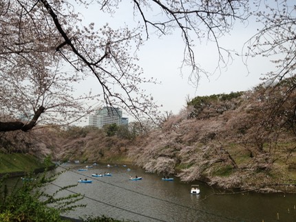 Photo 20-03-2013 13 47 37