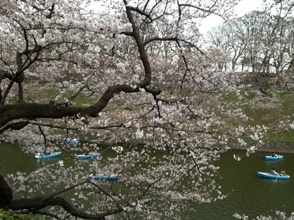 Photo 20-03-2013 13 51 39