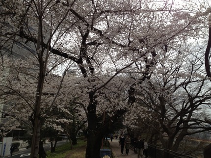 Photo 20-03-2013 14 13 17