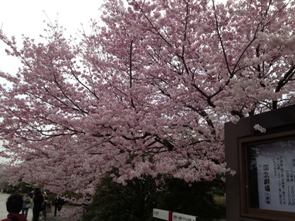 Photo 20-03-2013 14 44 41