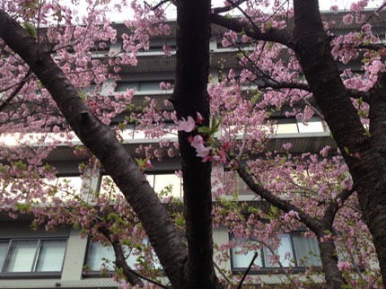 Photo 20-03-2013 15 02 46