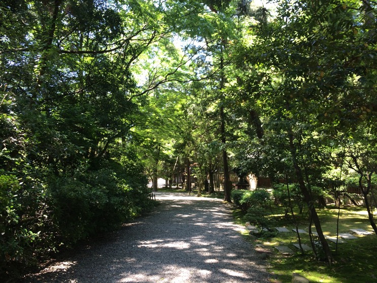 Photo 21-05-2015 12 56 01