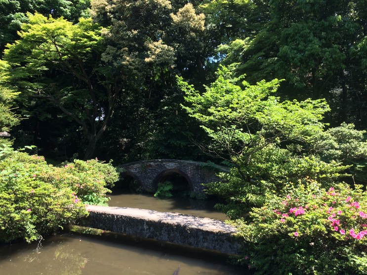 Photo 21-05-2015 13 06 10 (1)