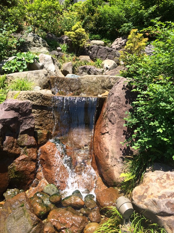 Photo 21-05-2015 13 15 33