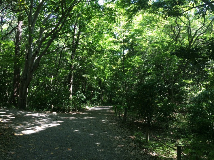 Photo 21-05-2015 13 23 20