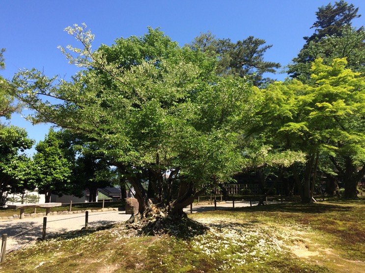 Photo 21-05-2015 13 53 19