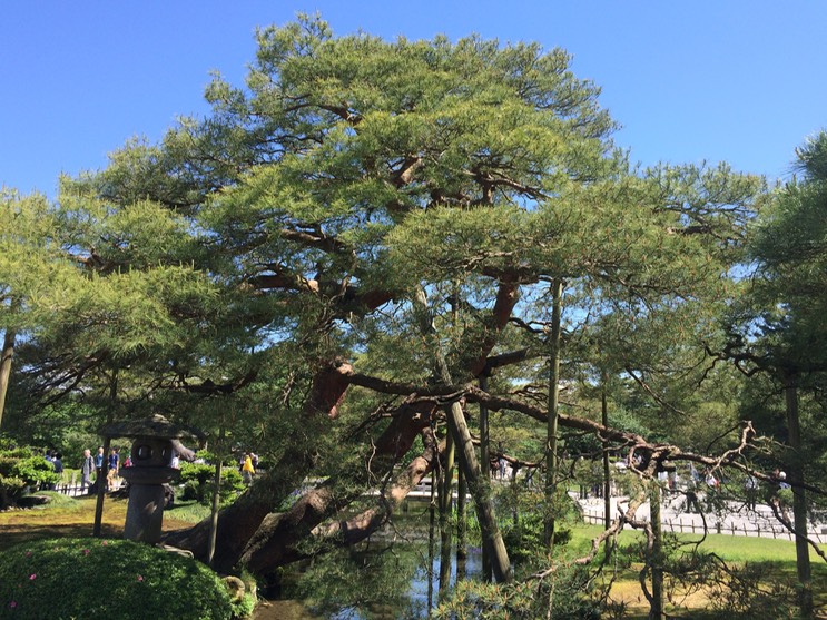 Photo 21-05-2015 13 58 17