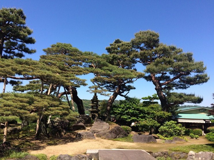 Photo 21-05-2015 14 00 57