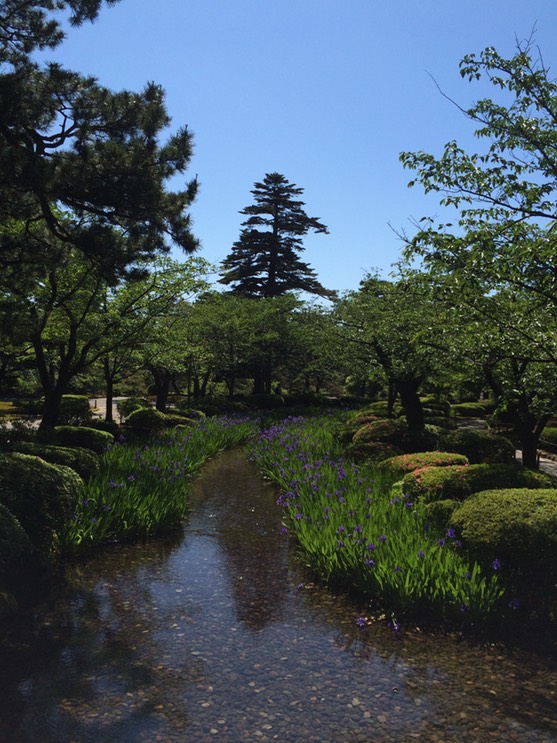 Photo 21-05-2015 14 08 47