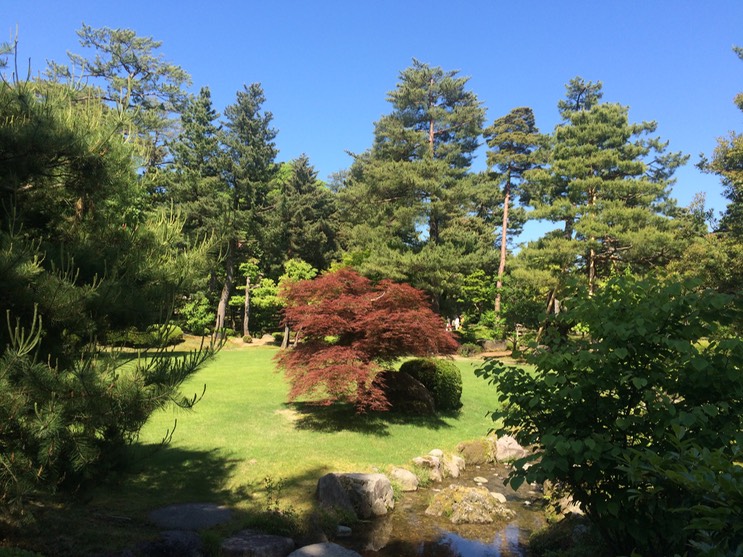 Photo 21-05-2015 14 14 41