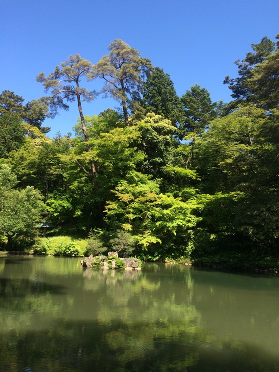 Photo 21-05-2015 14 17 09