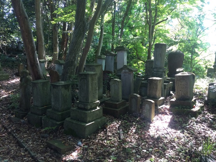 Photo 21-05-2015 15 27 04