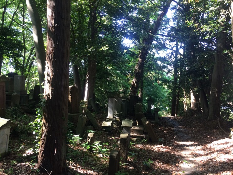 Photo 21-05-2015 15 27 14