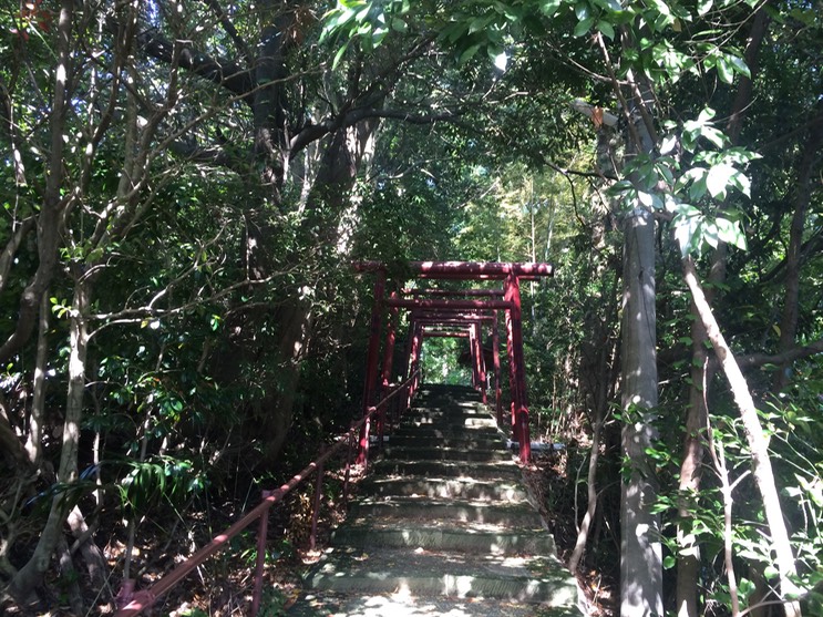 Photo 21-05-2015 15 36 01