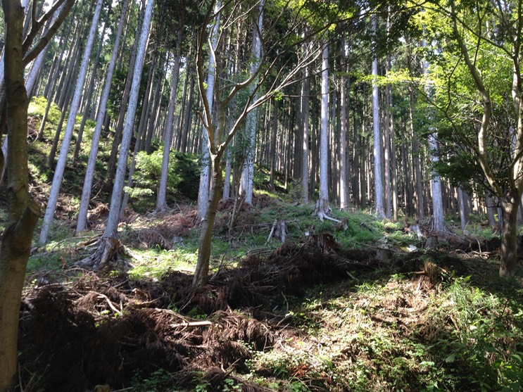 Photo 21-09-2013 12 36 17