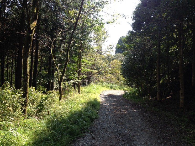 Photo 21-09-2013 12 36 29