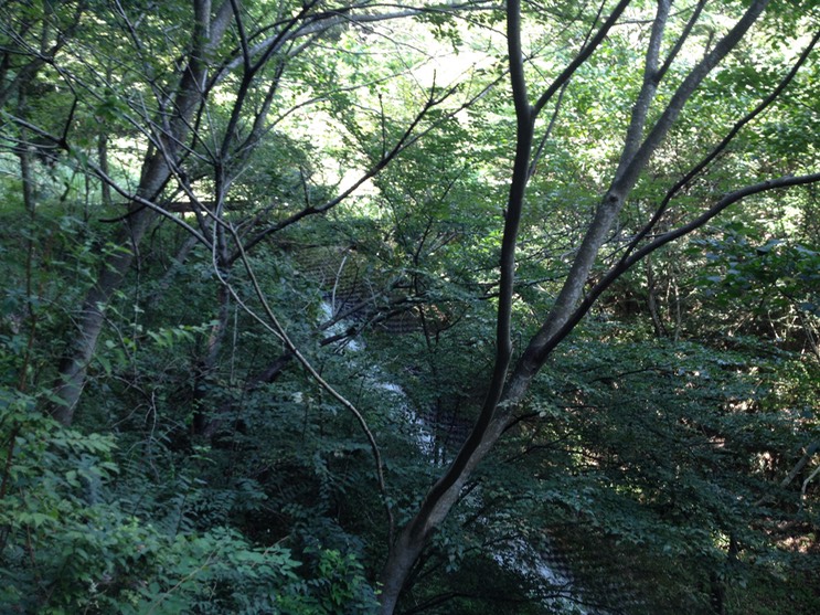 Photo 21-09-2013 12 39 33