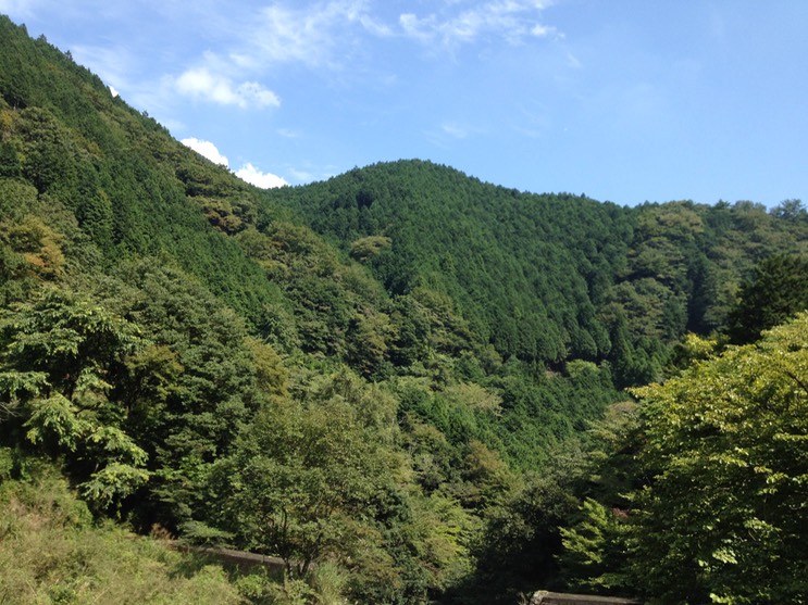 Photo 21-09-2013 12 45 47