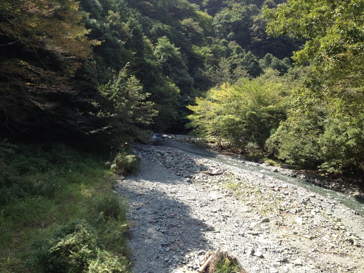 Photo 21-09-2013 12 46 04