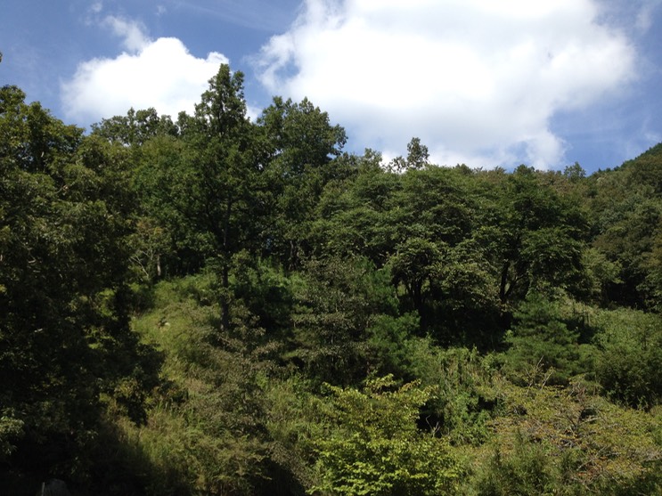 Photo 21-09-2013 12 46 10