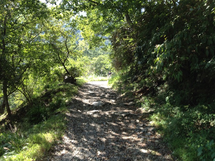 Photo 21-09-2013 12 50 50