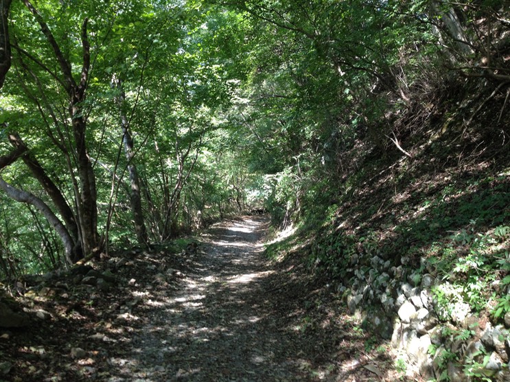 Photo 21-09-2013 12 52 13