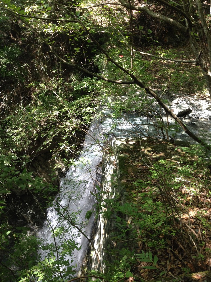 Photo 21-09-2013 12 53 10