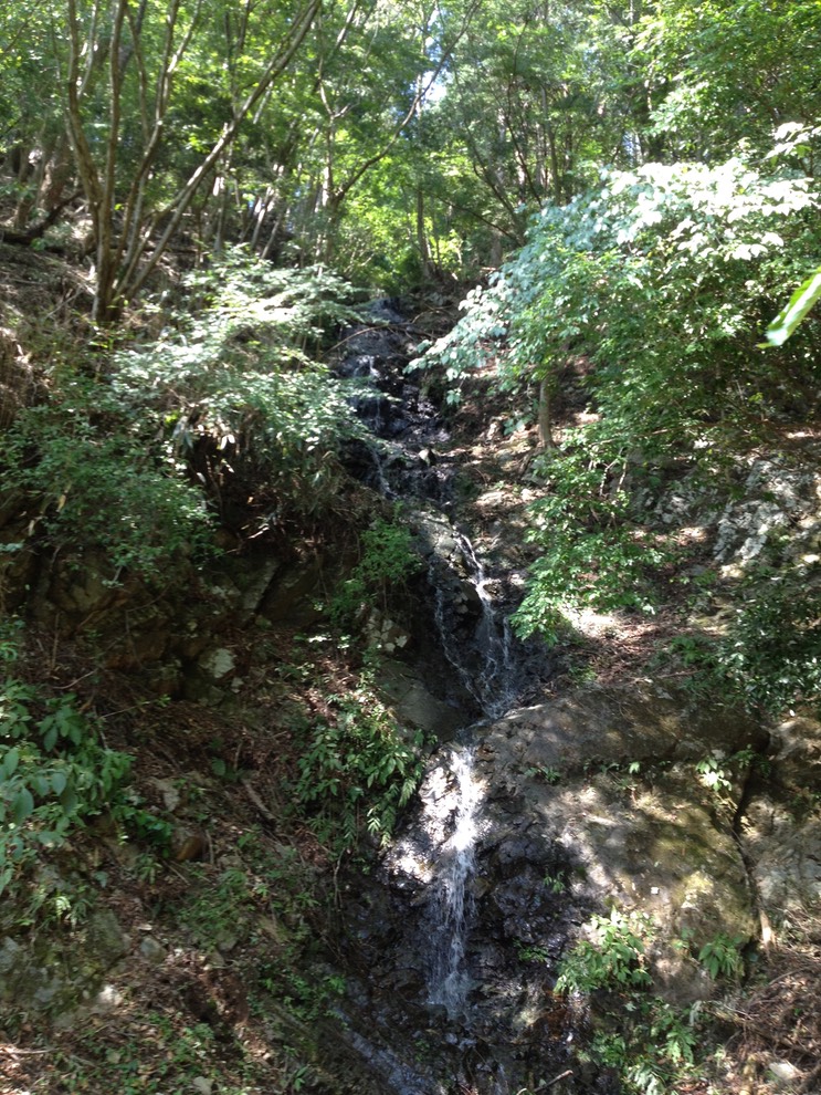 Photo 21-09-2013 13 06 56