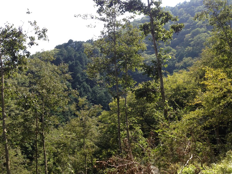 Photo 21-09-2013 13 08 27