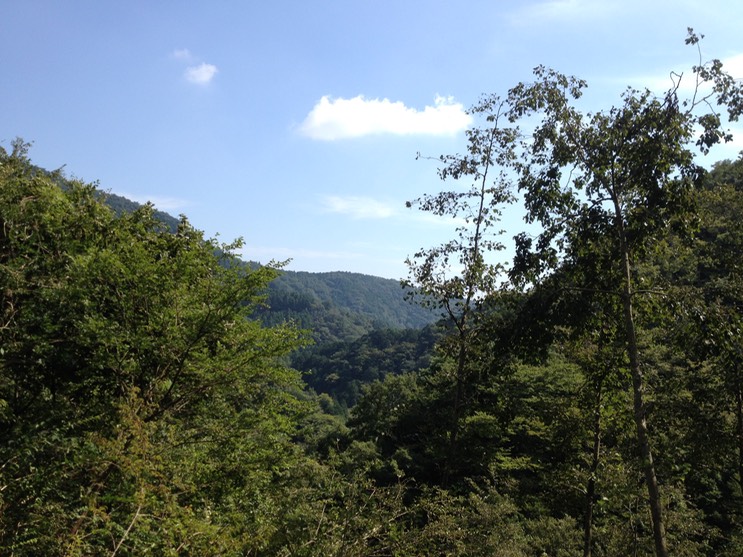 Photo 21-09-2013 13 08 30