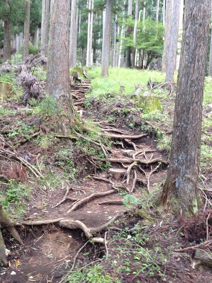 Photo 21-09-2013 13 25 57