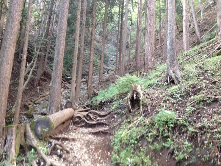 Photo 21-09-2013 13 34 06