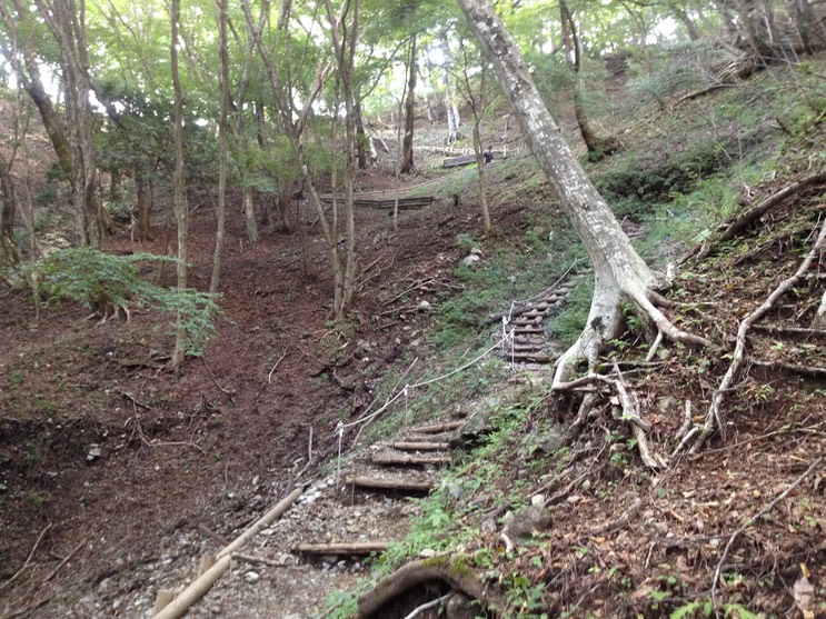 Photo 21-09-2013 13 37 36