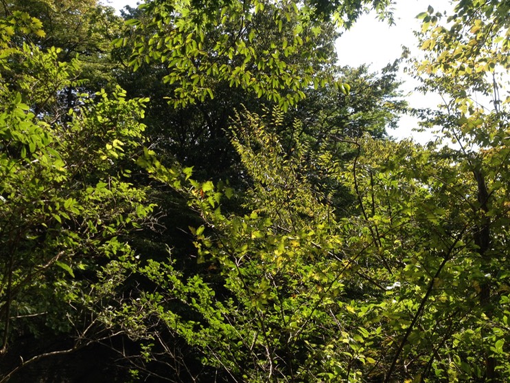 Photo 21-09-2013 13 40 56