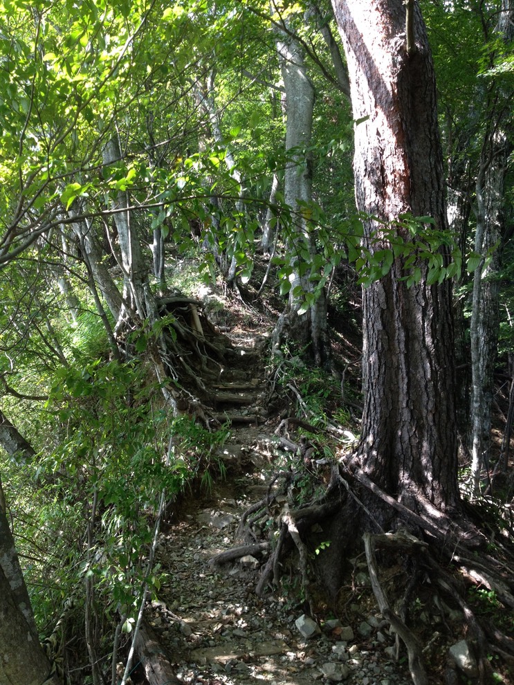 Photo 21-09-2013 13 41 22