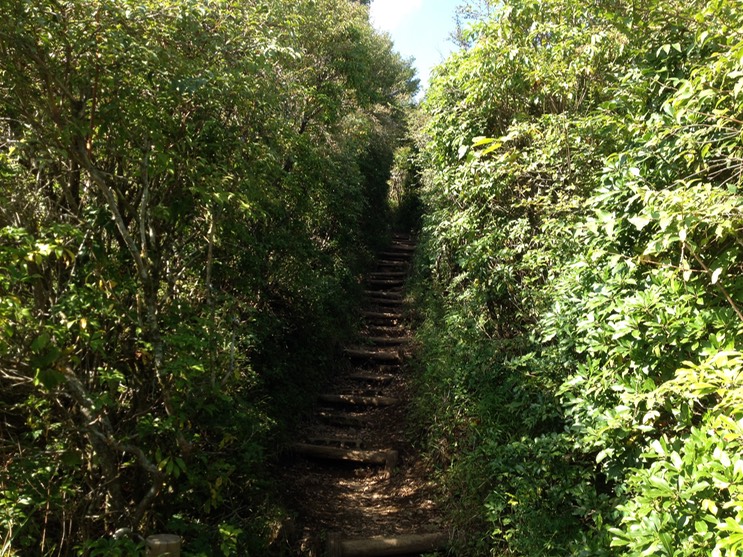 Photo 21-09-2013 14 25 22