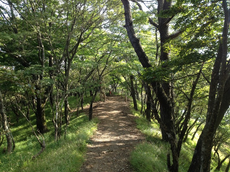 Photo 21-09-2013 15 11 39