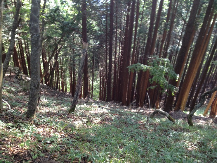 Photo 21-09-2013 15 22 33