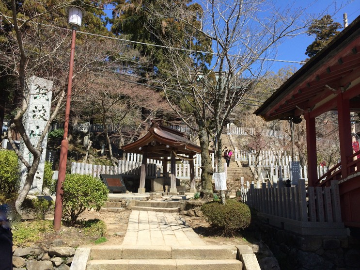 Photo 22-03-2014 11 18 15