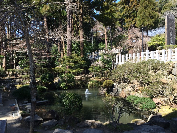 Photo 22-03-2014 11 20 23