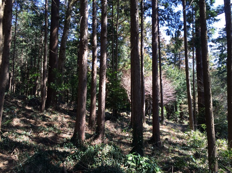 Photo 22-03-2014 11 27 35