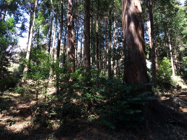 Photo 22-03-2014 11 27 38