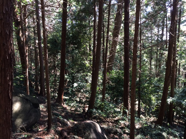 Photo 22-03-2014 11 29 46