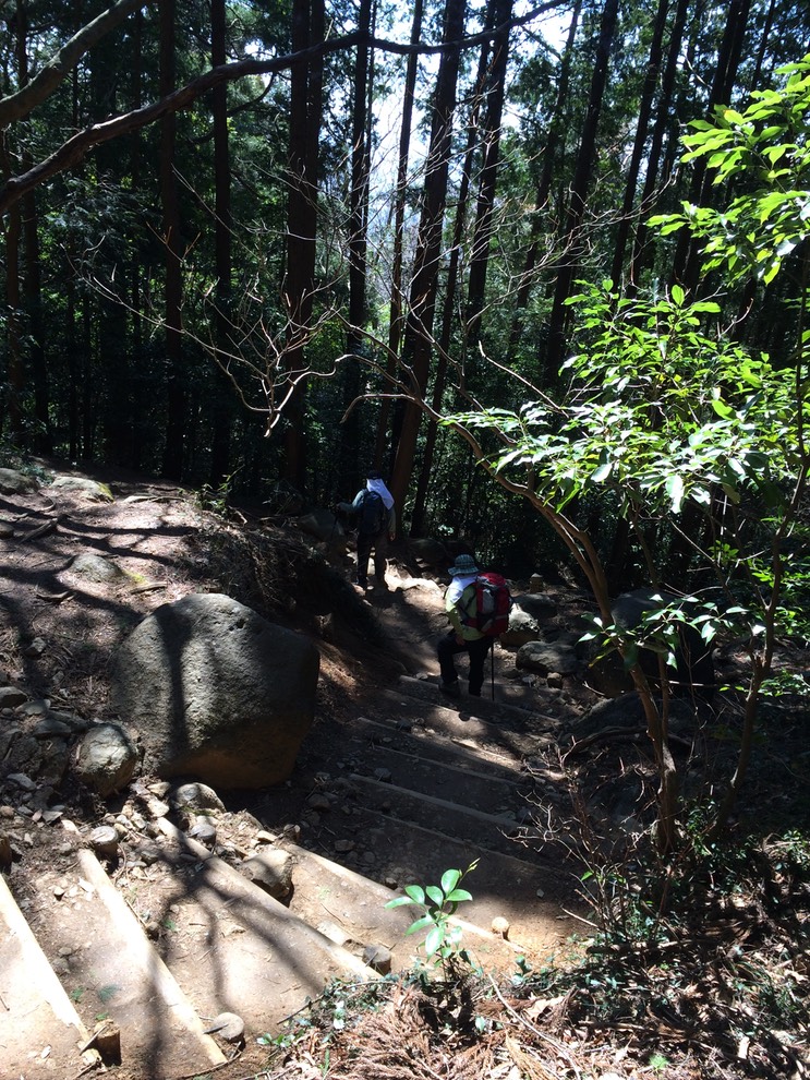 Photo 22-03-2014 11 49 40