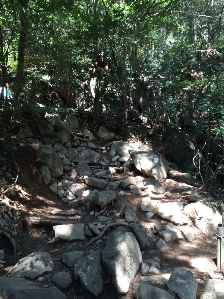 Photo 22-03-2014 11 58 33