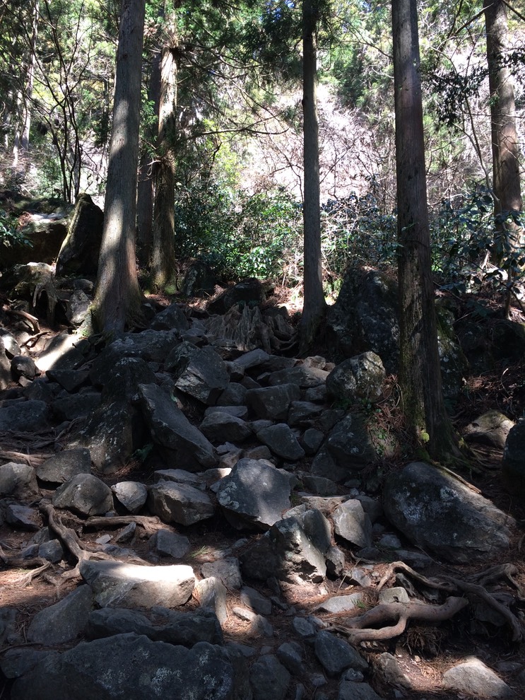 Photo 22-03-2014 12 08 54