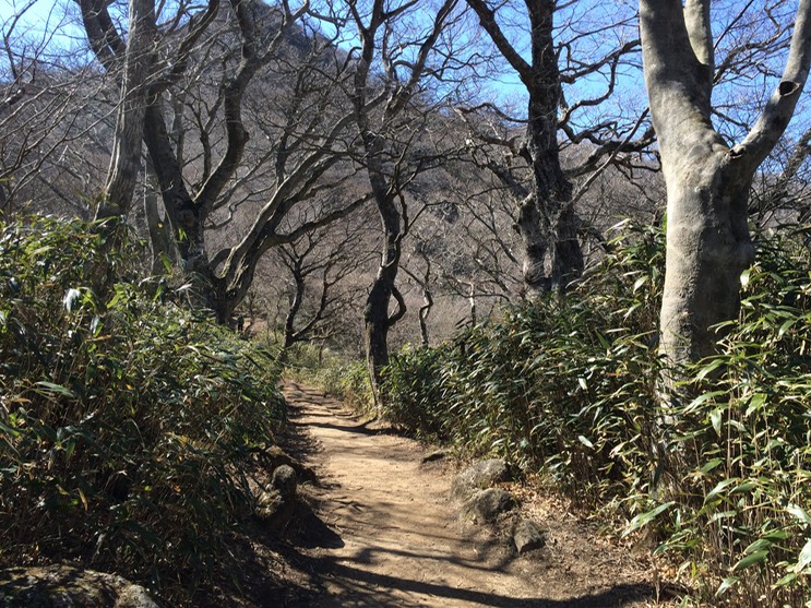 Photo 22-03-2014 14 00 06