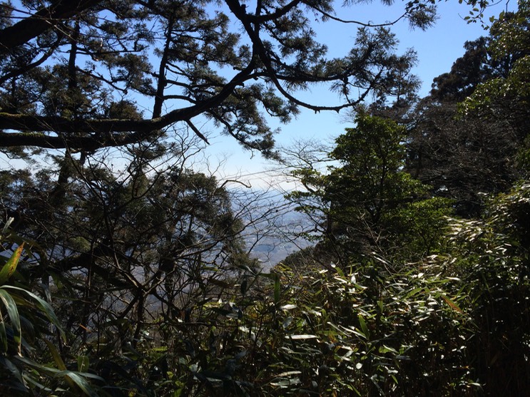 Photo 22-03-2014 14 11 53